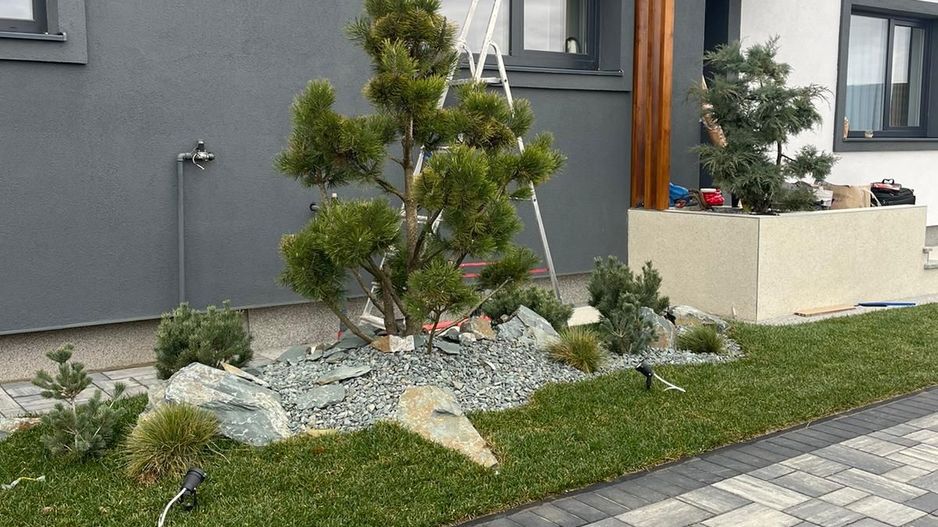 Vila superba zona scolii americane, Pipera - Poză 3