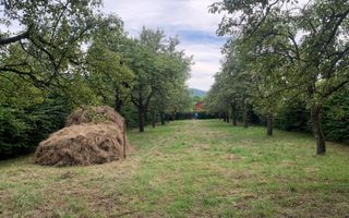 Teren Intravilan - Tropinii Noi - Poză 4
