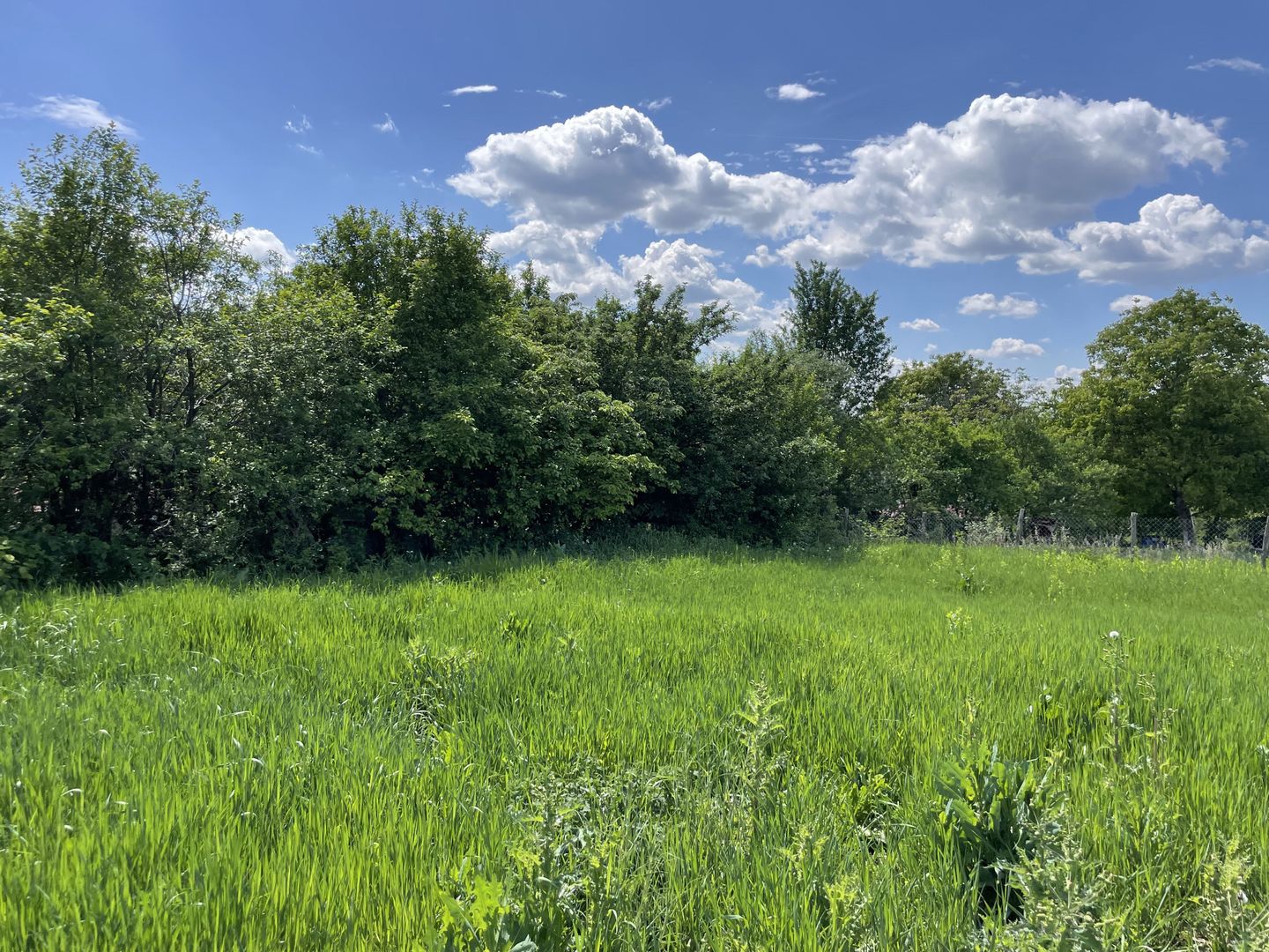 Casa in Comuna Geaca - Poză 19