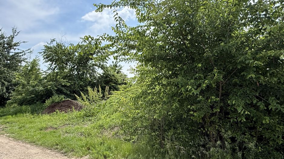Teren intravilan 498,02 mp langa pădure , strada privata Corbeanca - Poză 15