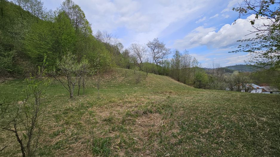 Teren intravilan 1454 mp la marginea padurii zona locuita de case! - Poză 7