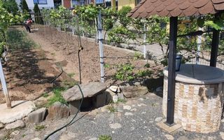 Teren Intravilan | 634 MP | Livada |Cisnadie - Poză 6