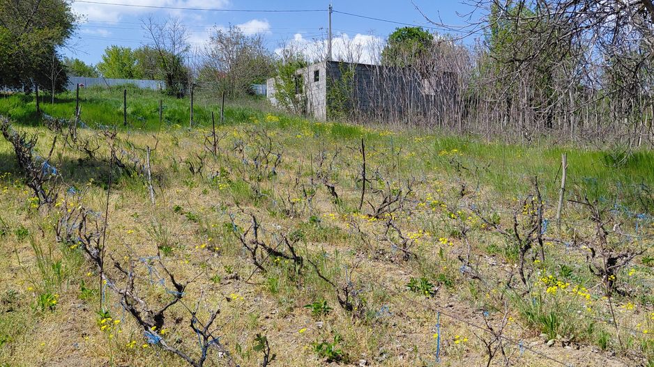 Teren intravilan 3.250 mp în Filești – Ideal pentru casă sau investiție! - Poză 17