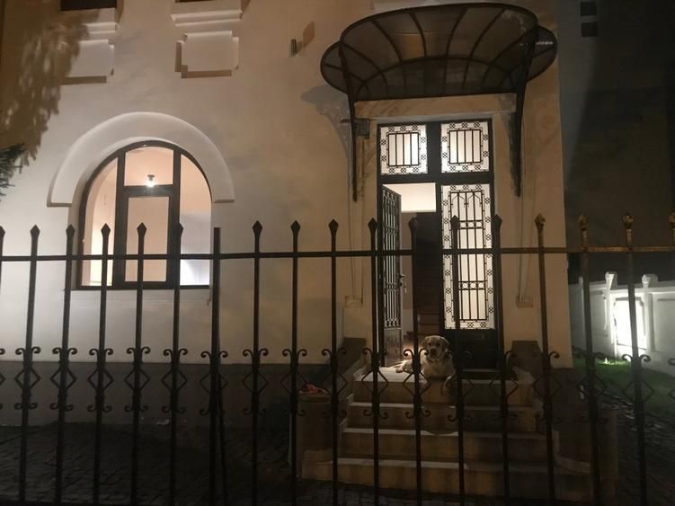 Vilă individuală de închiriat 250 mp, Kiseleff, 10 camere, 4 băi, curte proprie, - Poză 13