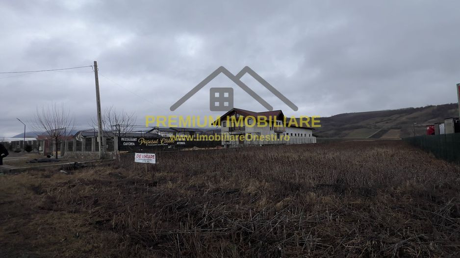 Teren intravilan de vânzare – 10 km de Onești - Poză 2
