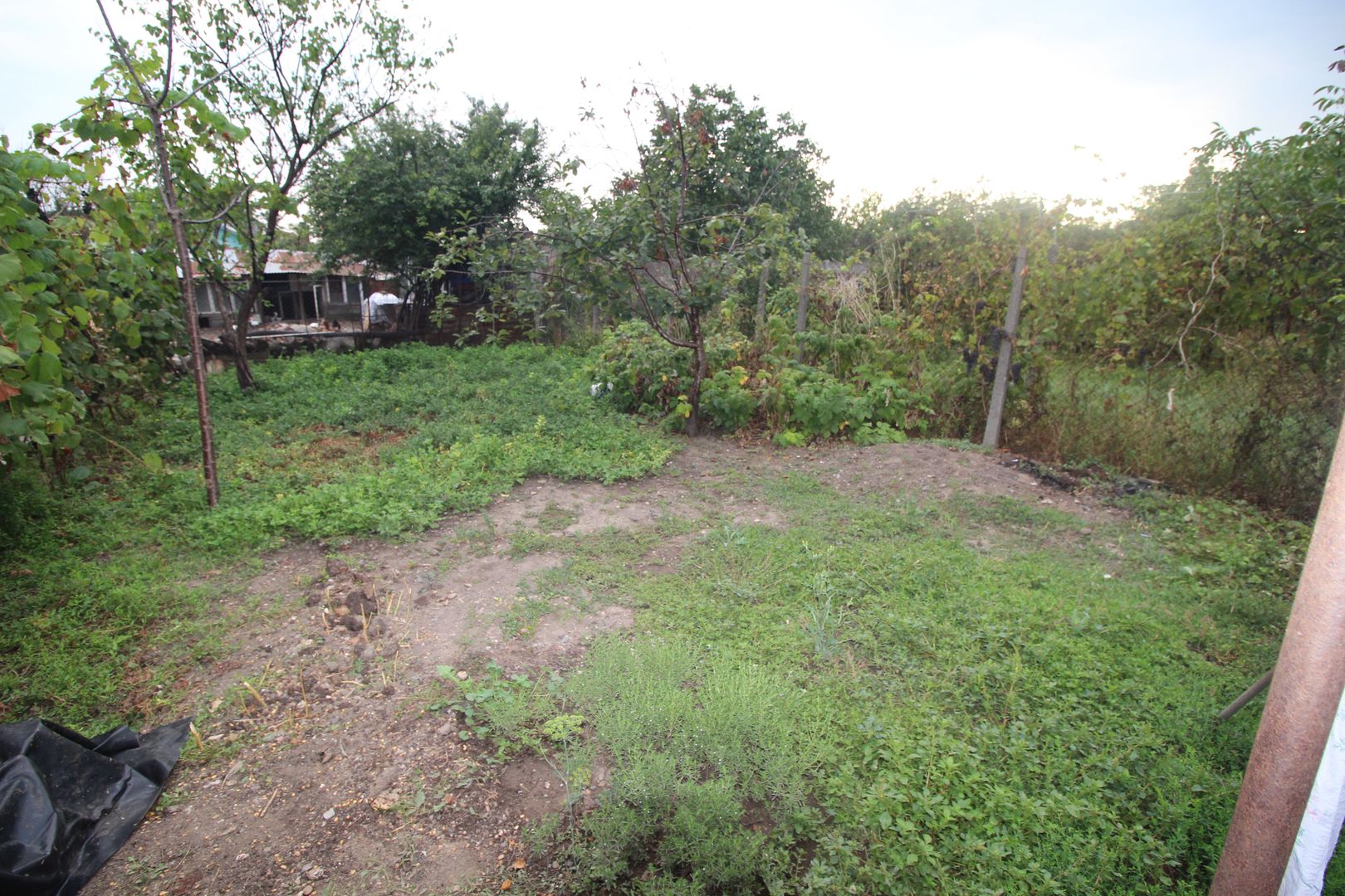 Teren pentru duplex/casa individuala Zona Mehala - Poză 3