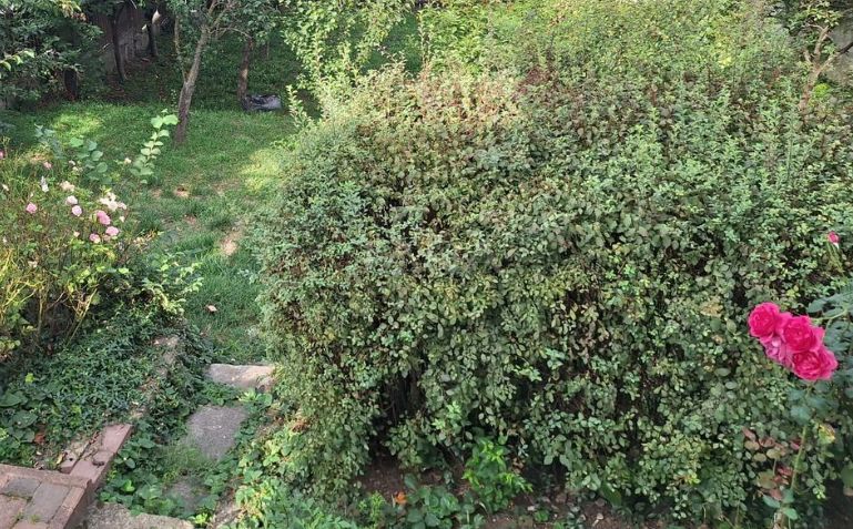 Casă de vânzare în cartierul Andrei Mureșanu, aproape de Centru - Poză 1