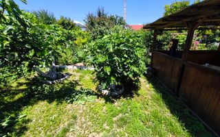 VIILE NOI - casa cu o curte generoasa disponibila imediat - Poză 17