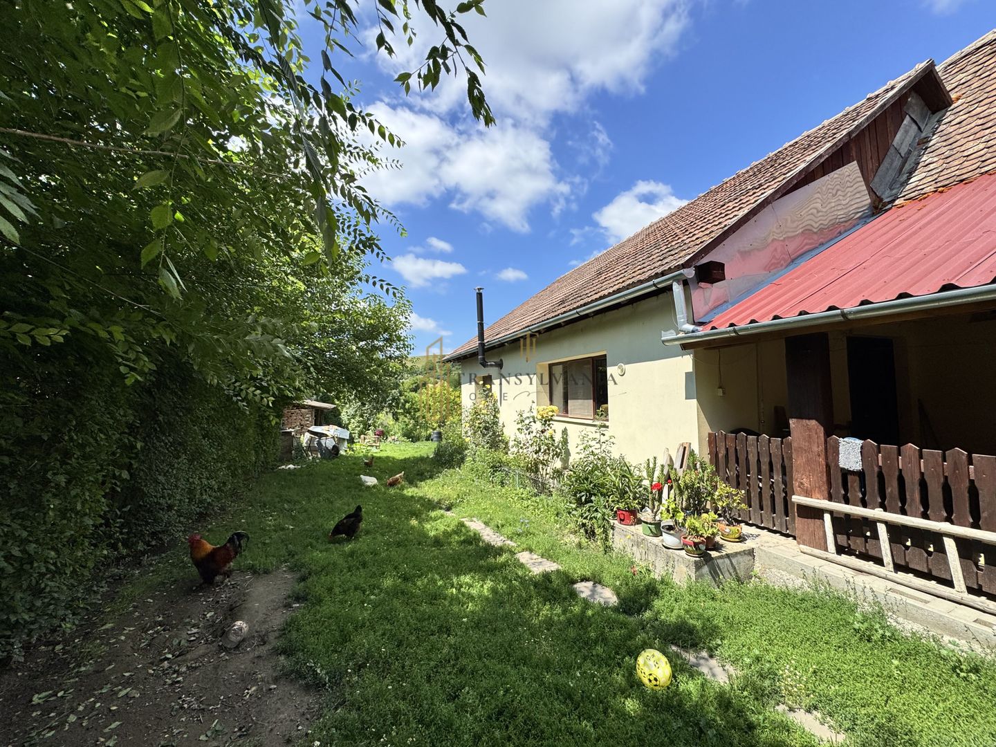 Casă la țară cu teren generos în satul Ruși - Poză 5