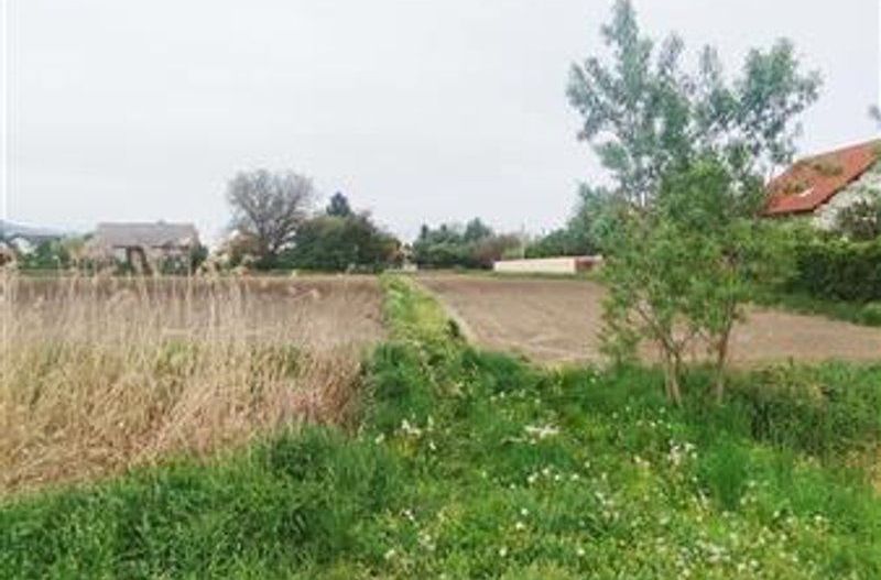 teren intravilan Stupini-Albinelor - Poză 6