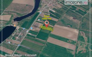 6000 mp, Caciulati - Balotesti, ideal pentru a dezvolta un ansamblu rezidential - Poză 3