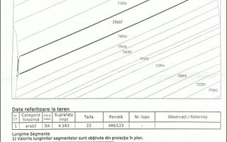 Teren de vânzare in comuna Șotânga, sat Teiș – 4183 mp - Poză 2