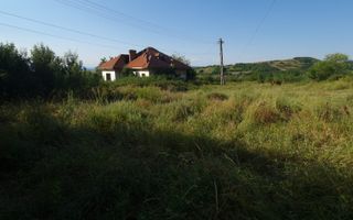 Teren  8 227 mp + Casa demolabila de vanzare in Filiasi -  Fratostita Dolj - Poză 8