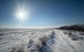 Teren Extravilan | 52 ari | Maneuti | Front 26 m | 55.500 € - Poză 8