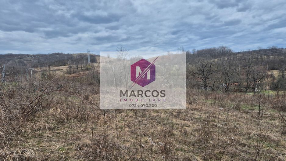 Vand 2 parcele de 5700 mp zona Iabalcea - Poză 6