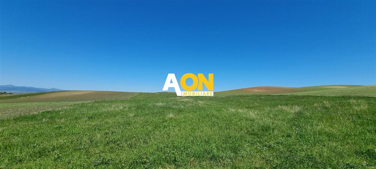 Teren de vanzare Alba Iulia Oarda de Sus - Poză 3