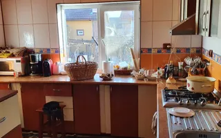 Casă / Pensiune de vânzare – Balta, Gorj  - Poză 11