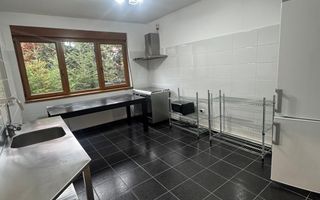 De inchiriat vila cu priveliste spectaculoasa - ideal spatiu comercial - Poză 15