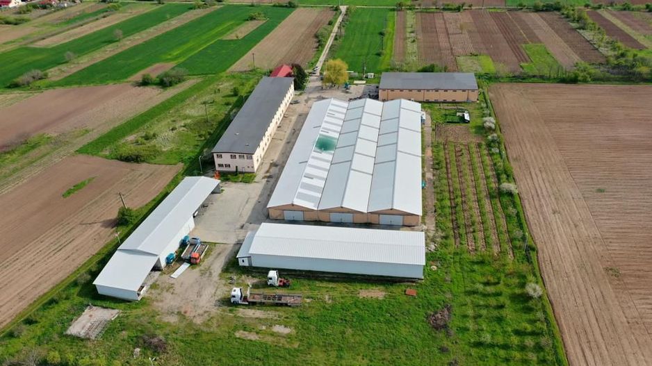 HALE INDUSTRIALE & PLATFORME BETONATE & TEREN INTRAVILAN 23500MP CRAIOVA - Poză 1