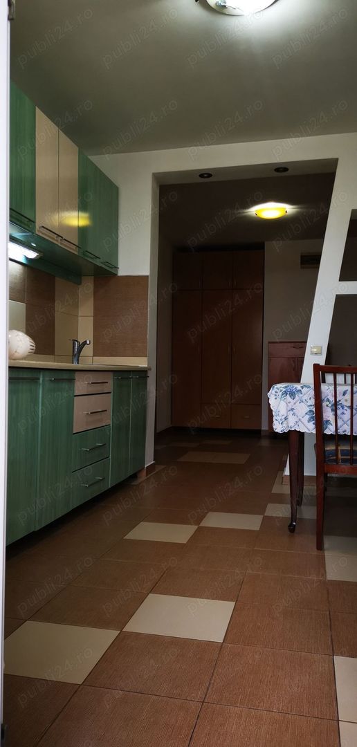 Piața berceni PROPRIETAR Spit bagdasar obregia - Poză 19