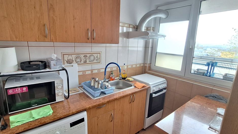 Garsoniera Metrou Dristor Liviu Rebreanu Park Lake - Poză 6