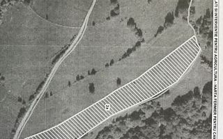 Proprietar vand teren extravilan 2ha, PANORAMA SUPER, Poiana Marului - Poză 8