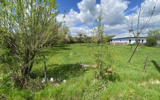 CASA CU TEREN 4000 MP, LA 5 MINUTE DE CENTRU CAMPULUNG - Poză 3