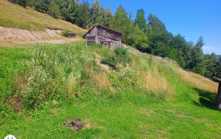 COMISION 0 CUMPARATOR Teren extravilan investiție Rachitele Cluj - 31.555 mp