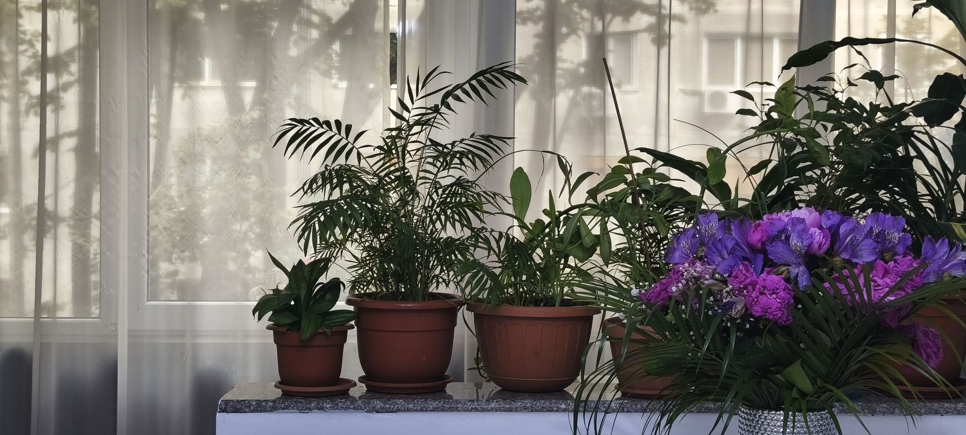 Sagului | 3 camere | 64 mp utili+balcon | centrala proprie | Et. 2\4 - Poză 13