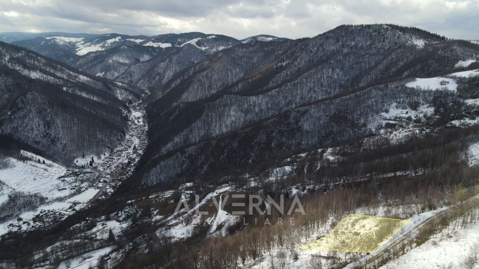 Teren constructii LOT 1037mp sau 2075mp | sat Plopi - Valea Ierii - Poză 1