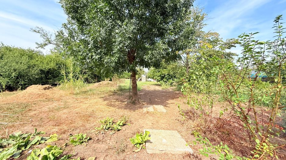 Casă de vânzare | 5 camere | Teren 1.200 mp | Foisor | Ciorogârla - Poză 22