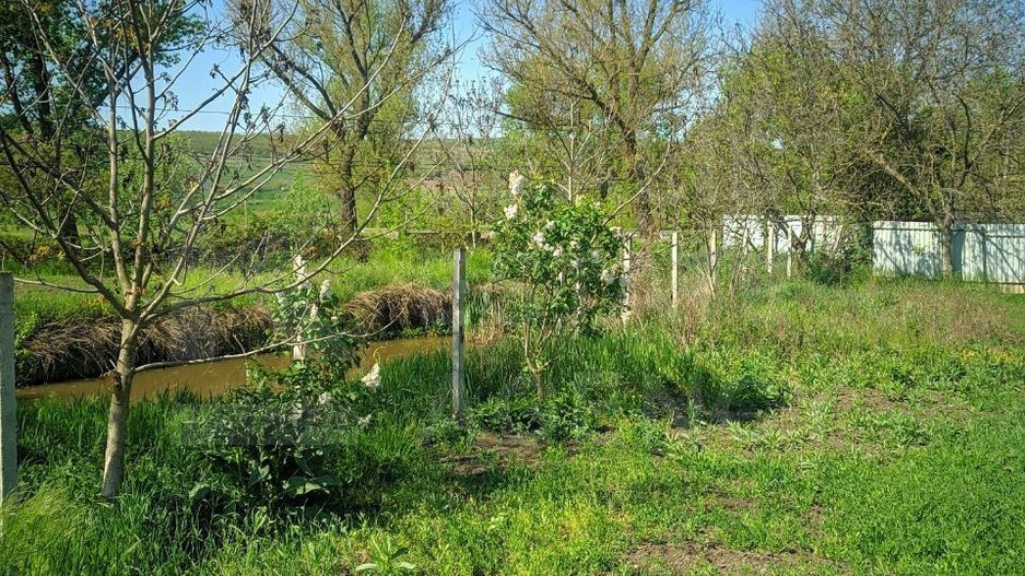 Vânzare, casă, com. Boșcana, r-nul Criuleni - Poză 6