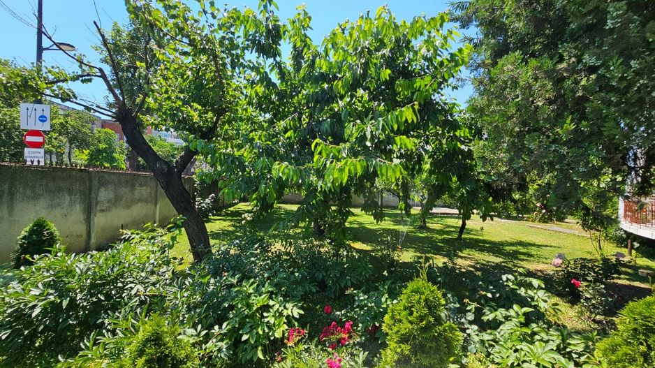Casa eleganta cu tavane inalte si gradina superba - Poză 14