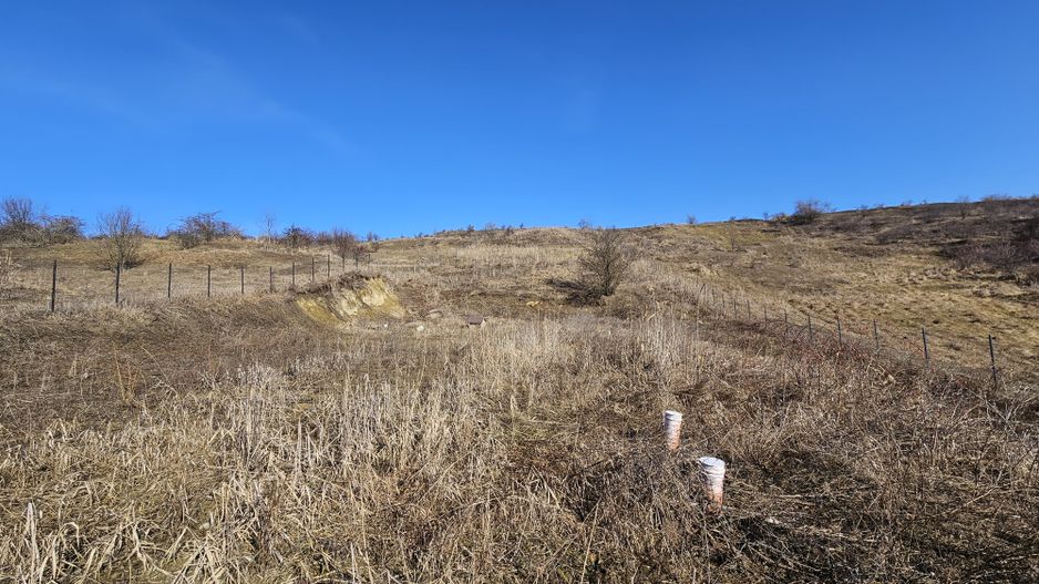 17 Euro/mp, Teren superb, 5.665 mp, Valea Fantelor-Iris - Poză 4