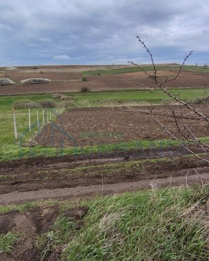 Teren de vânzare în Proselnici, comuna Miroslava – 900 mp, extravilan propus pentru introducere în intravilan - Poză 3