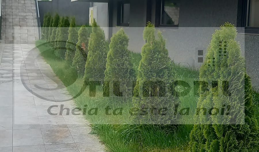 Apartament 1 camera Pacurari - 350 EURO - Poză 12