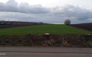 Teren Intravilan Vorovesti, 1 ha, deschidere la DJ 248A - Poză 3