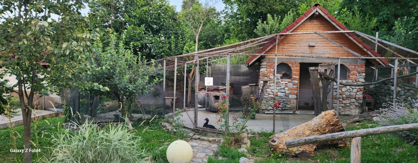 Vila Horezu Romanii de Jos - Poză 20