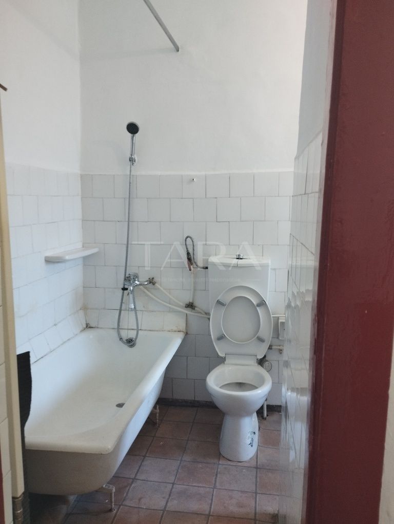 Apartament cu 1 Cameră și Curte – Gruia, Zonă de Case - Poză 6