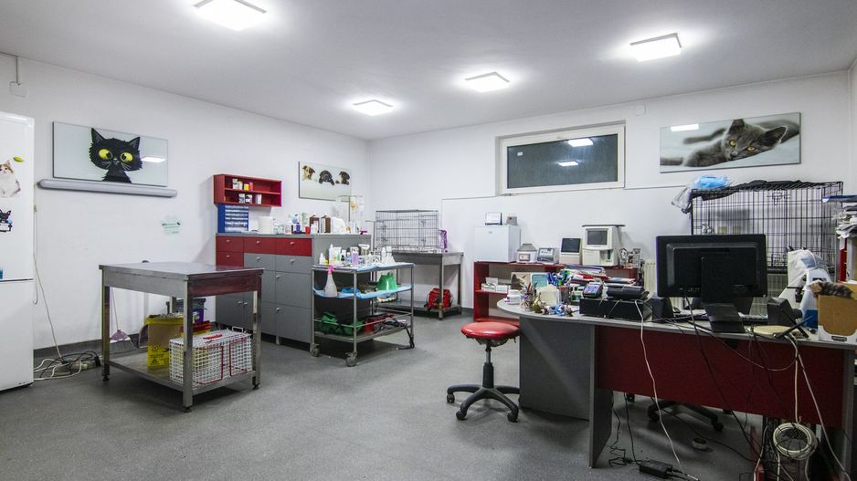 Brancoveanu, spatiu pretabil investie, sediu, birou, cabinet, showroom - Poză 5
