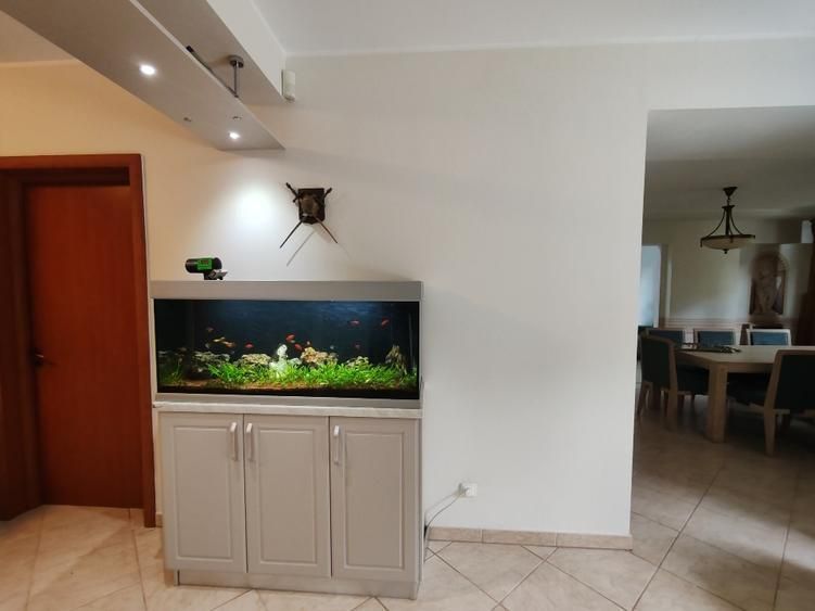 Vila de inchiriat | mobilata si utilata | Paradisul Verde -Corbeanca - Poză 8