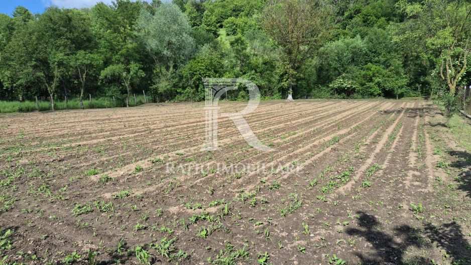 Casa cu 6 camere | Sitari | Bihor - Poză 13