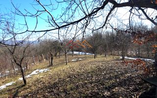 CASĂ INDIVIDUALĂ CU LIVADĂ | 2.195 MP TEREN | POIANA CÂMPINA - Poză 22