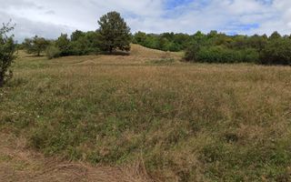 Teren 5200 mp-ideal cabane, case de vacante, agricultura-Livezile - Poză 2