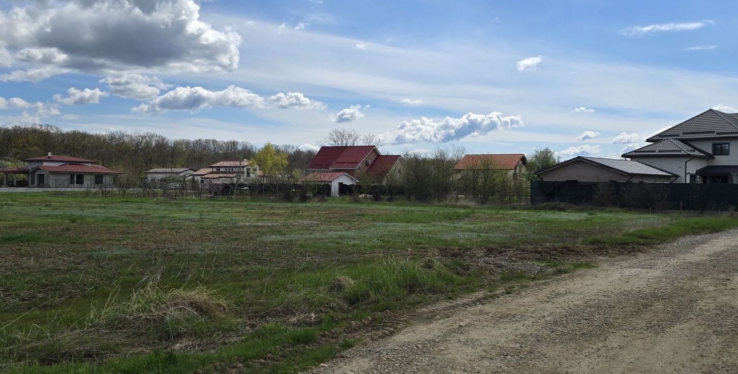 Teren Snagov Ciofliceni cu  pădurea la vedere - Poză 6