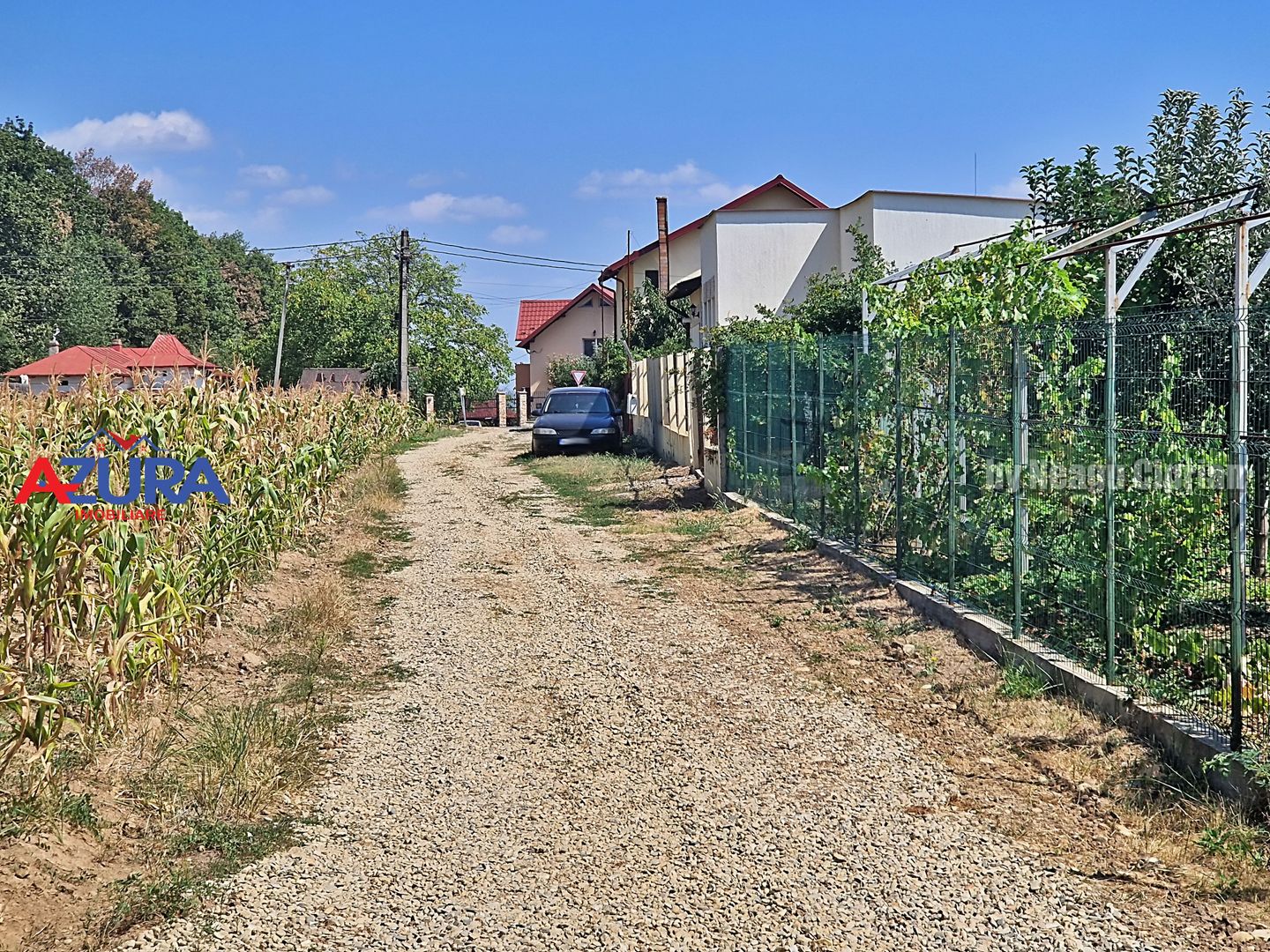 AZURA Imobiliare - Teren Mosoaia Dealul Viilor langa Padure - Poză 15