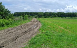 Teren extravilan - 13.500mp -Comuna Boteni-la 3 km de oras Titu - Poză 4