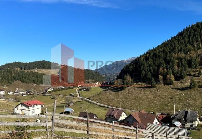 Teren Fundatica intravilan 4500 mp - Poză 17