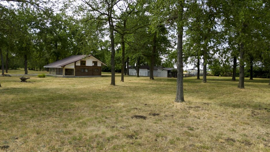 Teren intravilan Şofronea - Poză 3