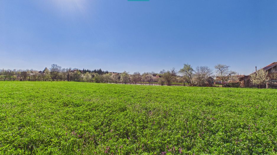 Teren intravilan 3024 mp, în comuna Almaș, Arad - Poză 3